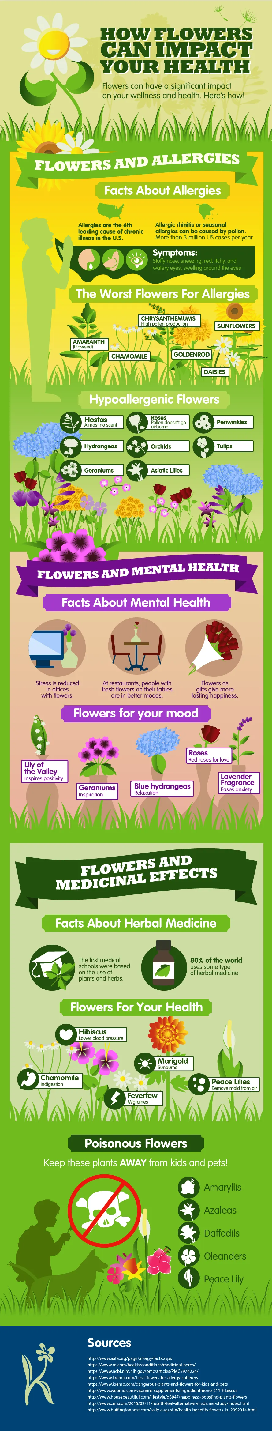 Infographic: How Flowers can Impact your Health