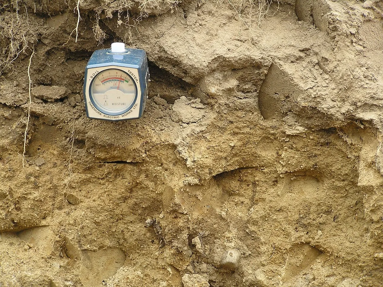 Best Soil pH Testers Listed and Buying Guide