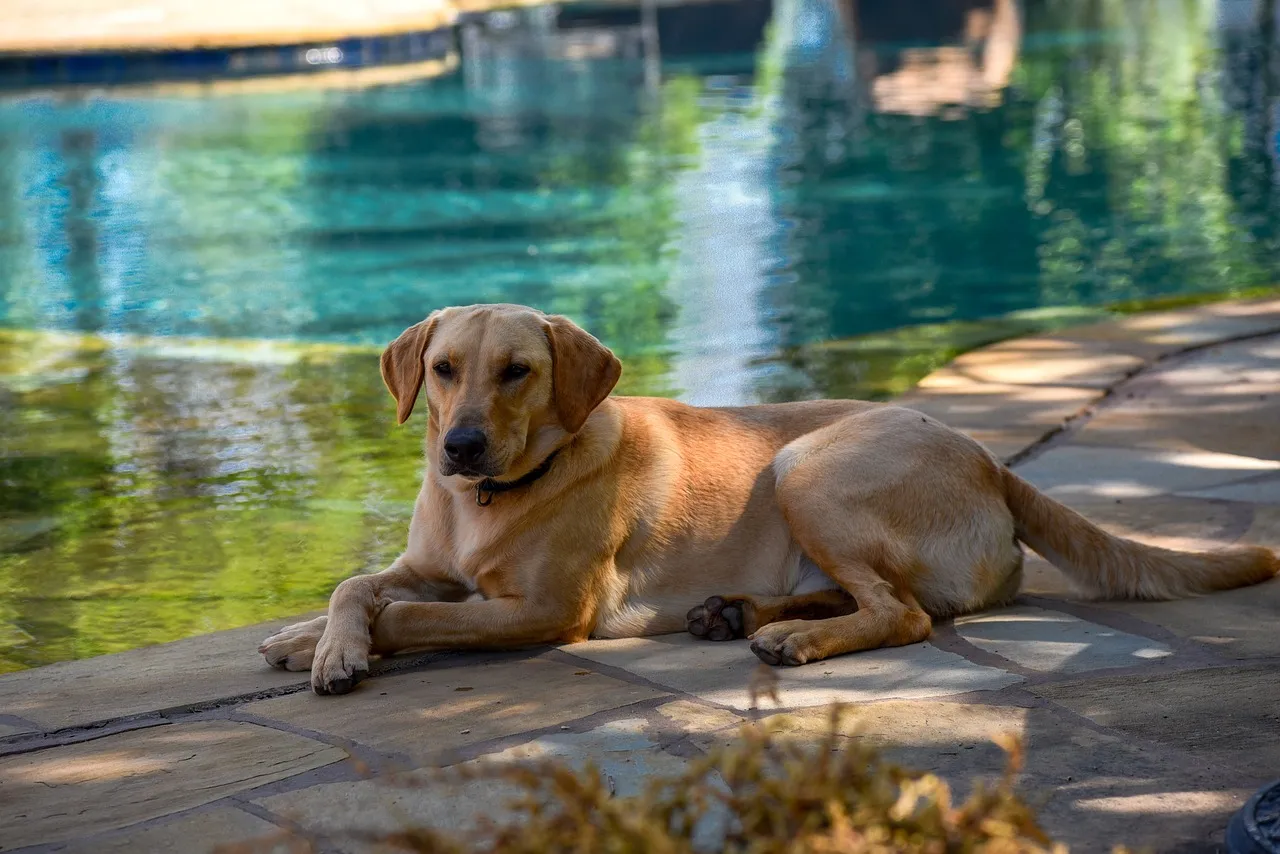 Large Maintenance Kit for Above Ground Pools