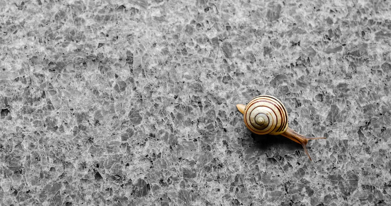 Best Granite Sealers