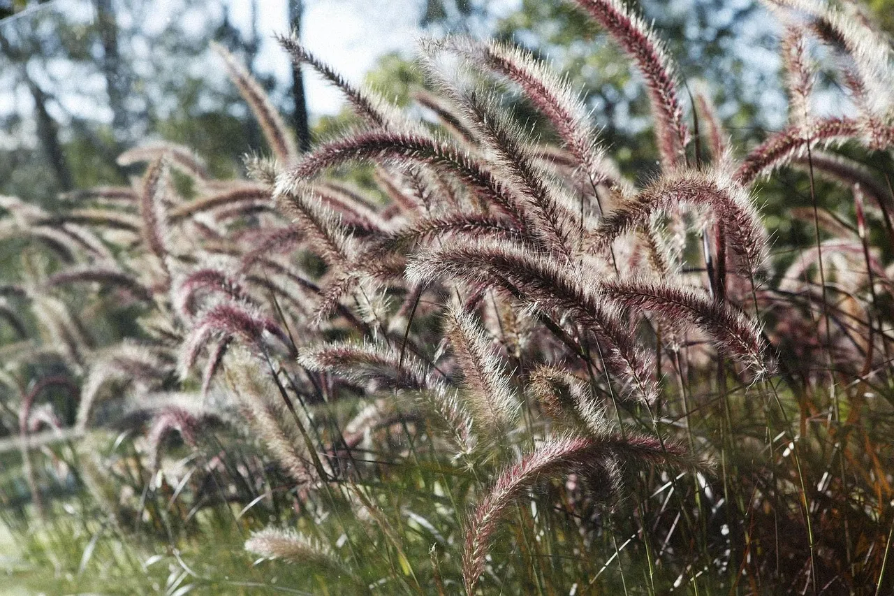 Top 7 Ways To Do A Garden Landscaping