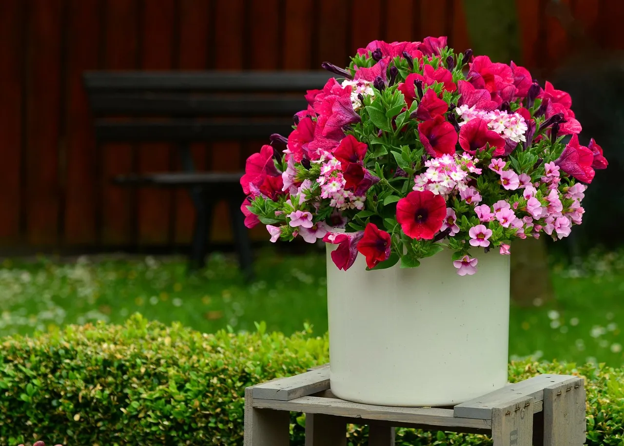 Tips for Beautiful Balcony Garden