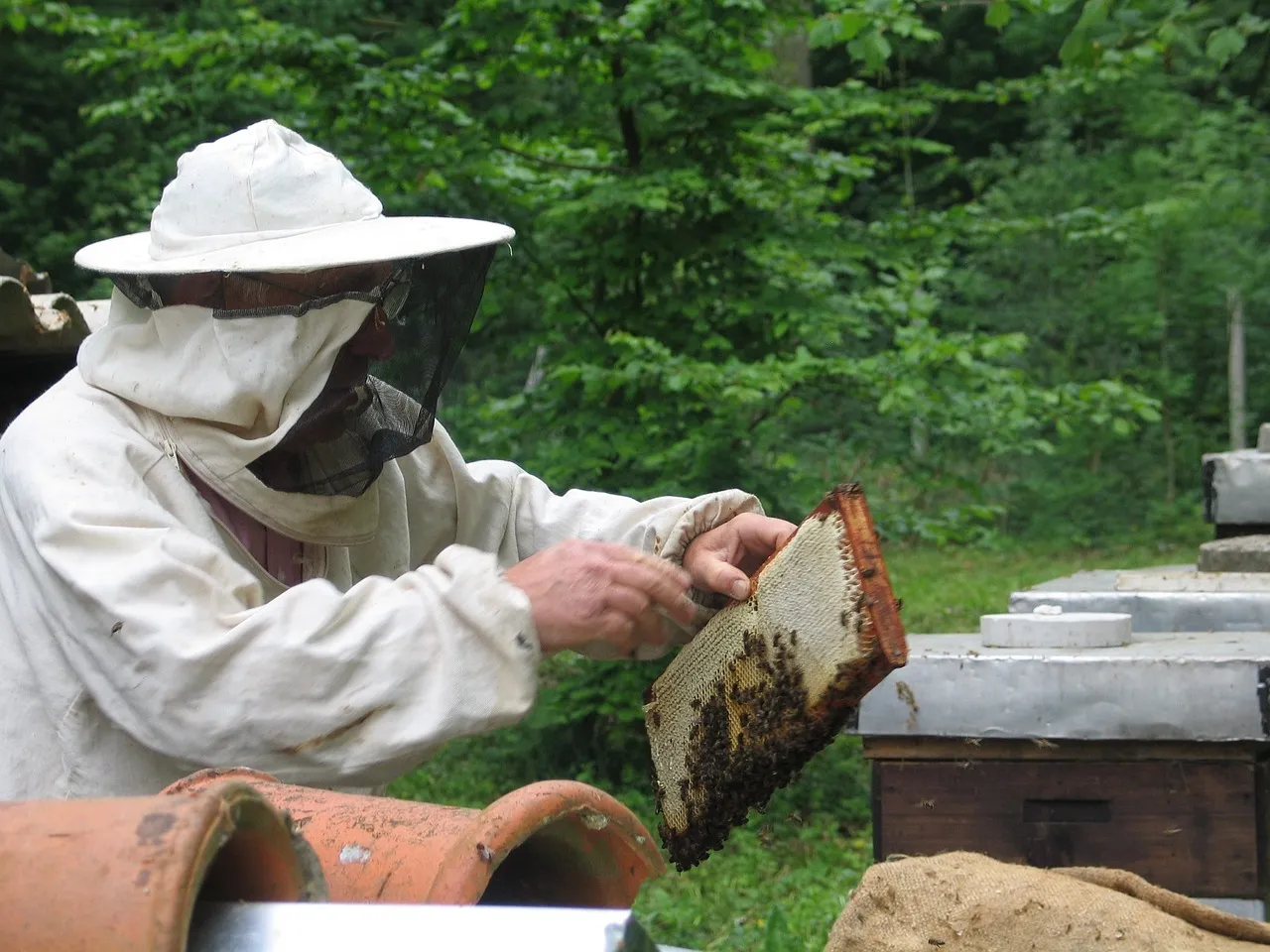 Humble Bee 210 Polycotton Beekeeping Veil with Round Hat
