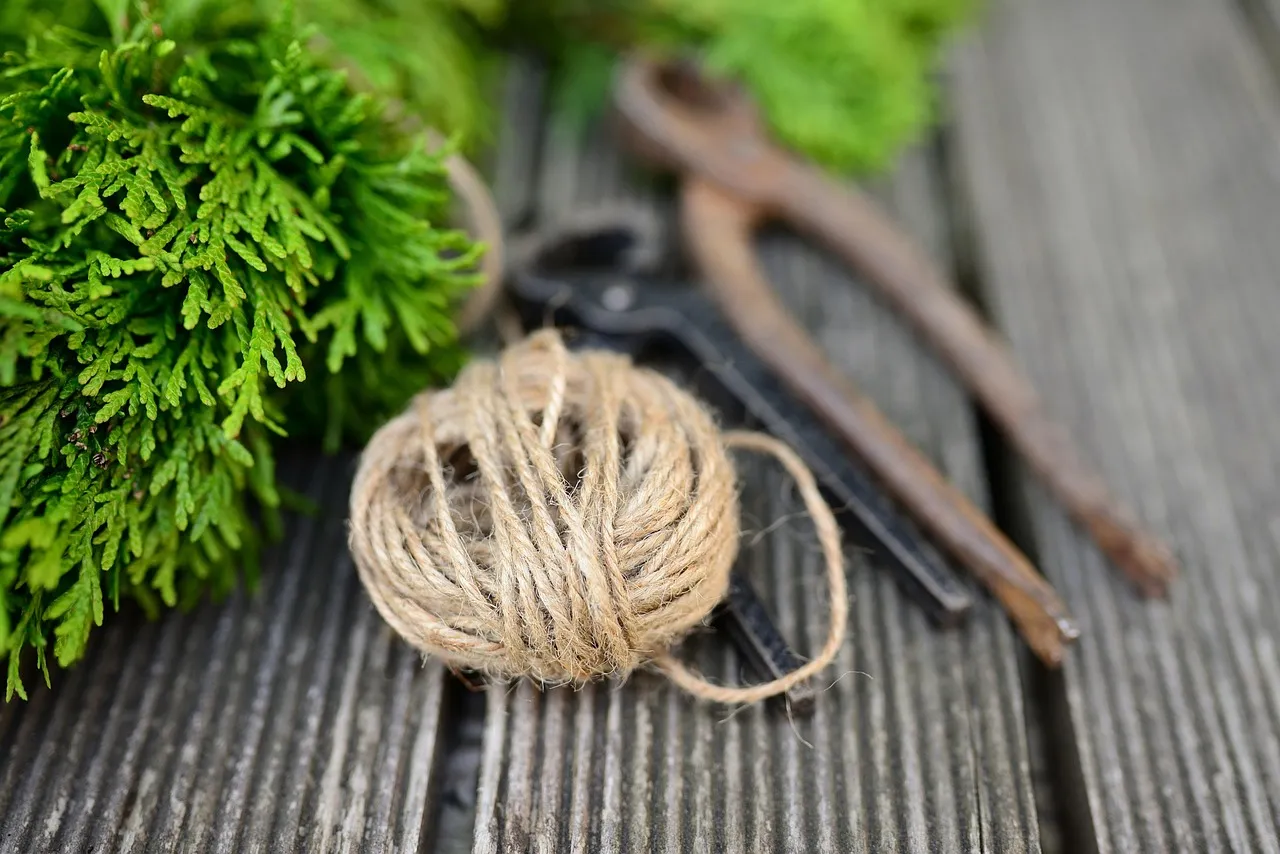 Gardening Tools That You Need to Have In your Barn