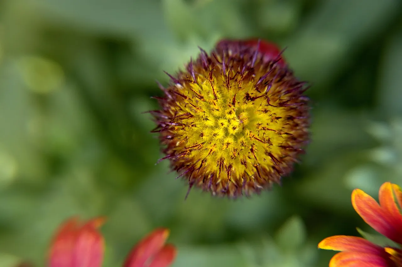 How to Organize Vegetable Seeds