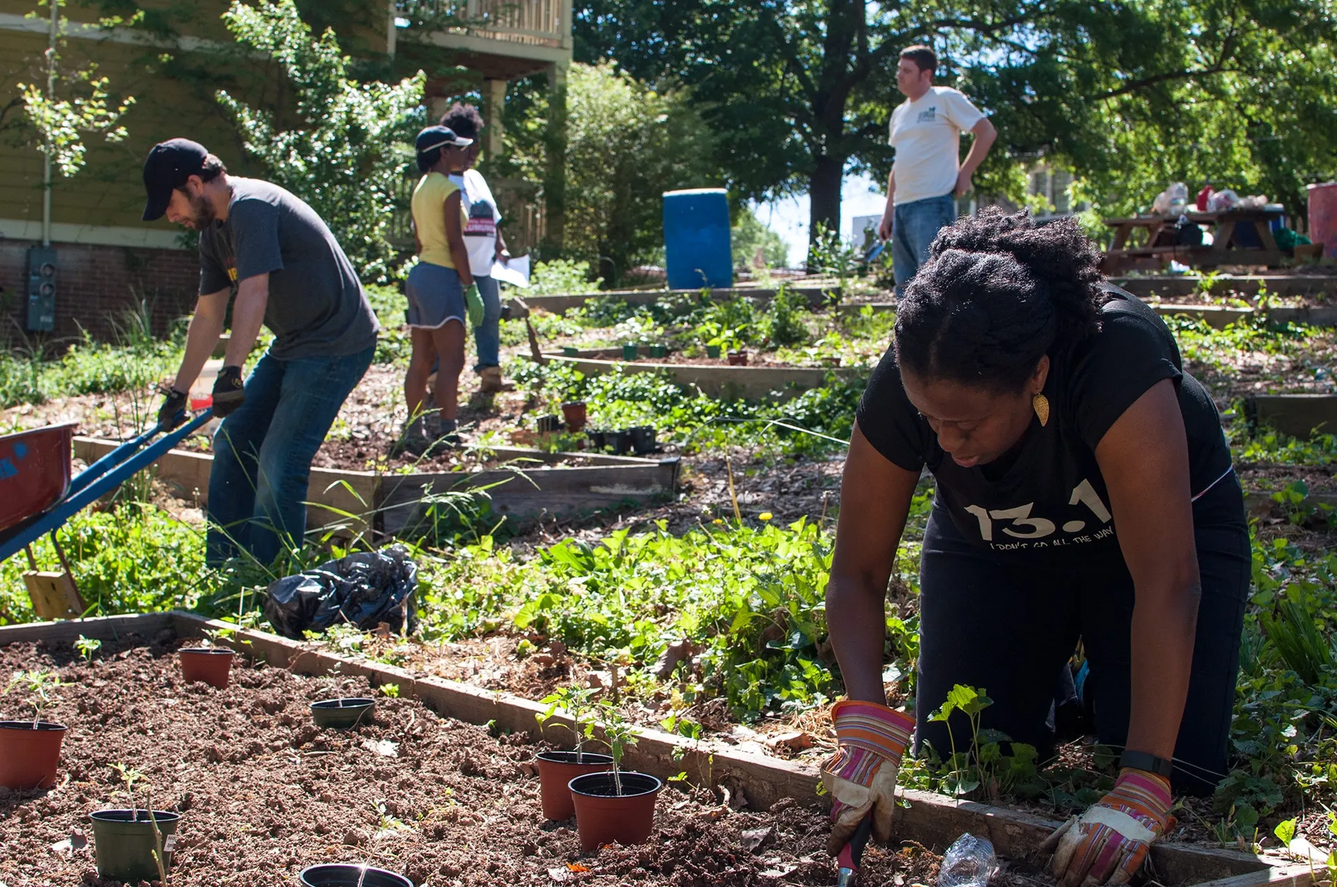 Community Garden projects and tips