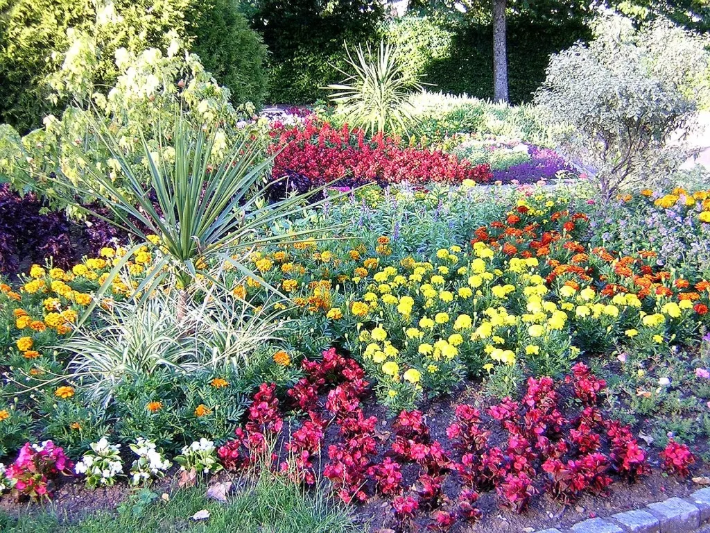 Creating an English Garden