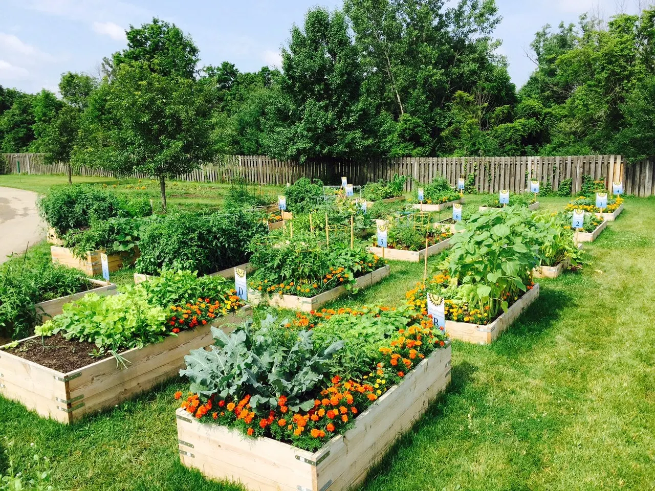 Community Garden projects and tips