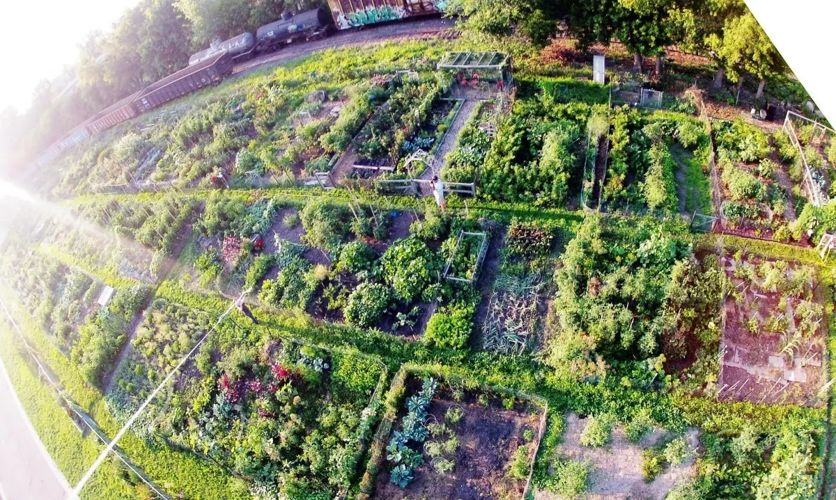 Community Garden projects and tips