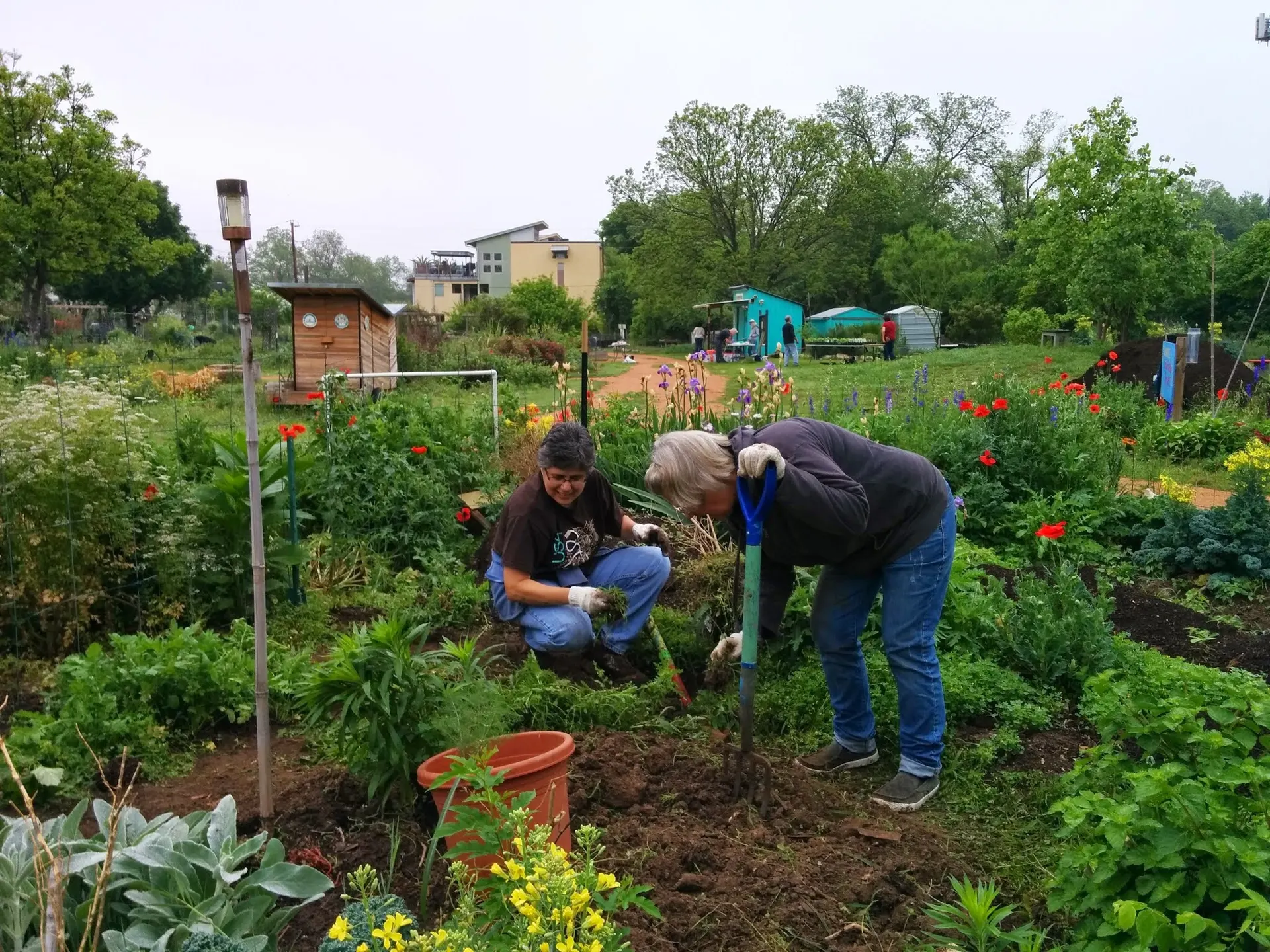 Community Garden projects and tips