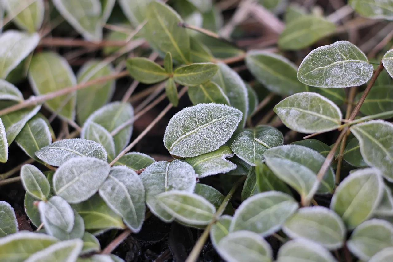 5 Amazing Landscaping Ideas You should Not Miss