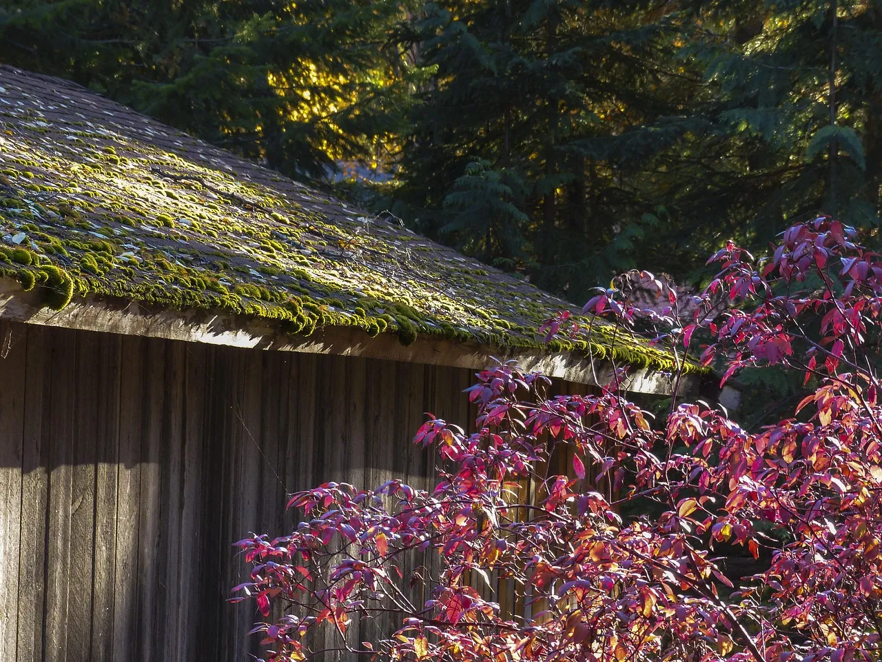 American Style Sheds: Known for Their Beauty and Durability