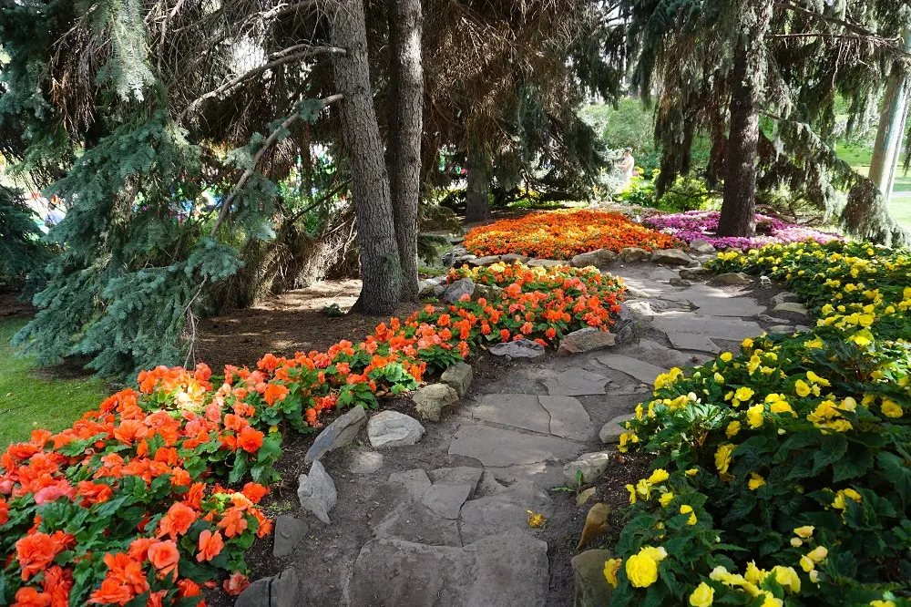 4 Tips to Create Beautiful Rock Garden