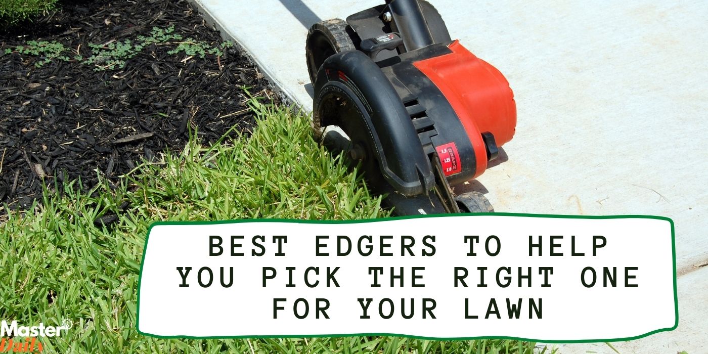 The 10 Best Edgers to Help You Pick the Right One for Your Lawn