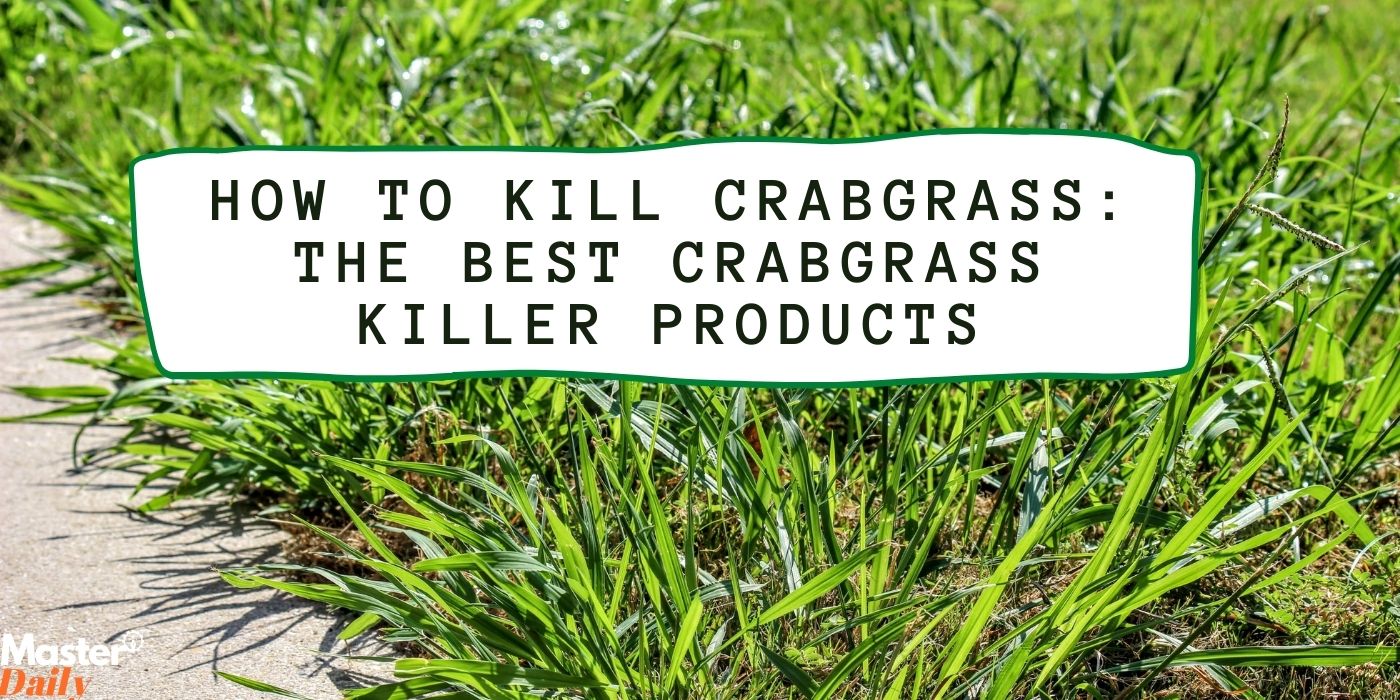 The Best Crabgrass Killer Products