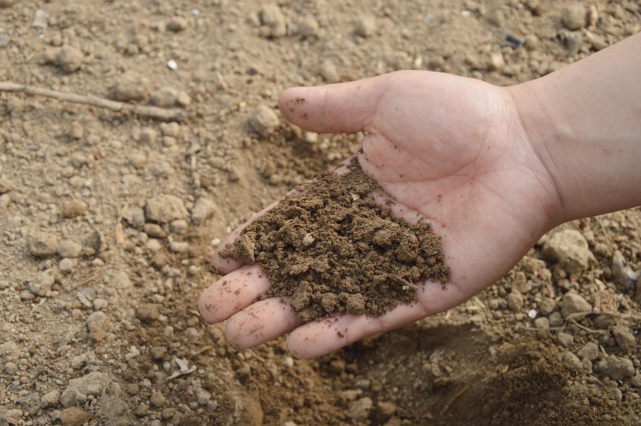 How To Compost Worms