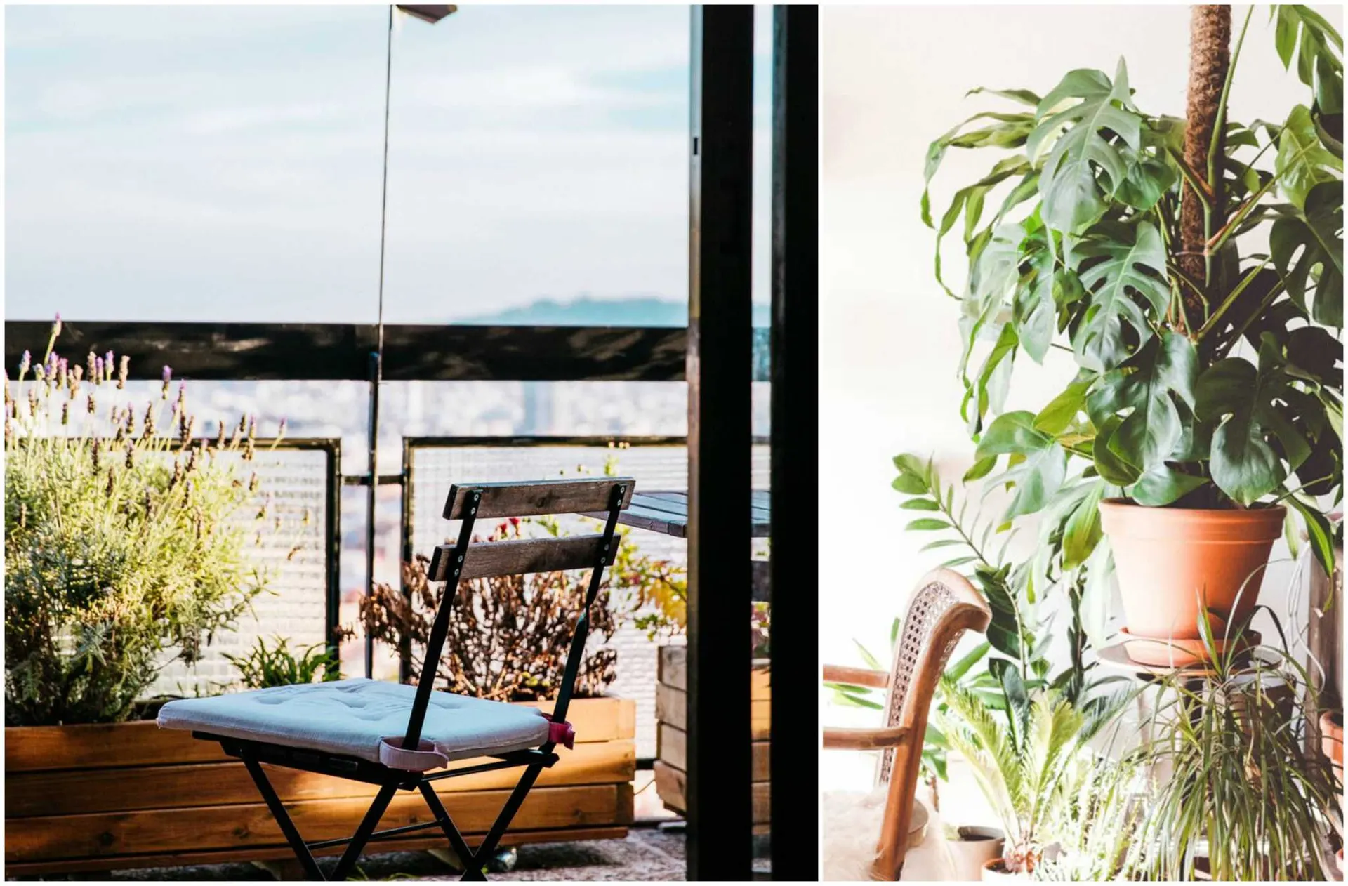 Tips for Beautiful Balcony Garden