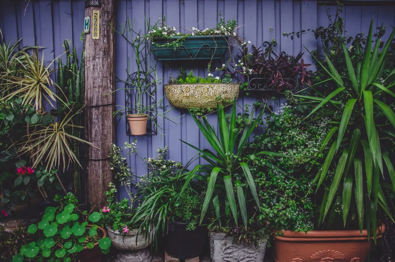 Tips for Beautiful Balcony Garden