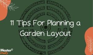 Tips For Planning a Garden Layout - Master Daily 11 Tips For Planning a Garden Layout