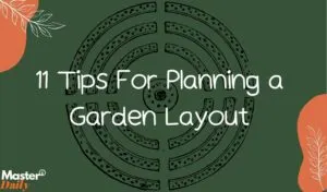 Tips For Planning a Garden Layout - Master Daily 11 Tips For Planning a Garden Layout