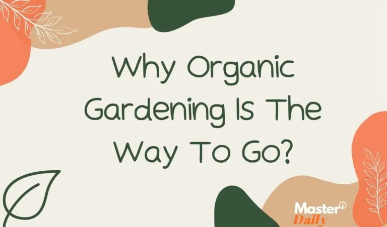 Why Organic Gardening Is The Way To Go - Master Daily Why Organic Gardening Is The Way To Go