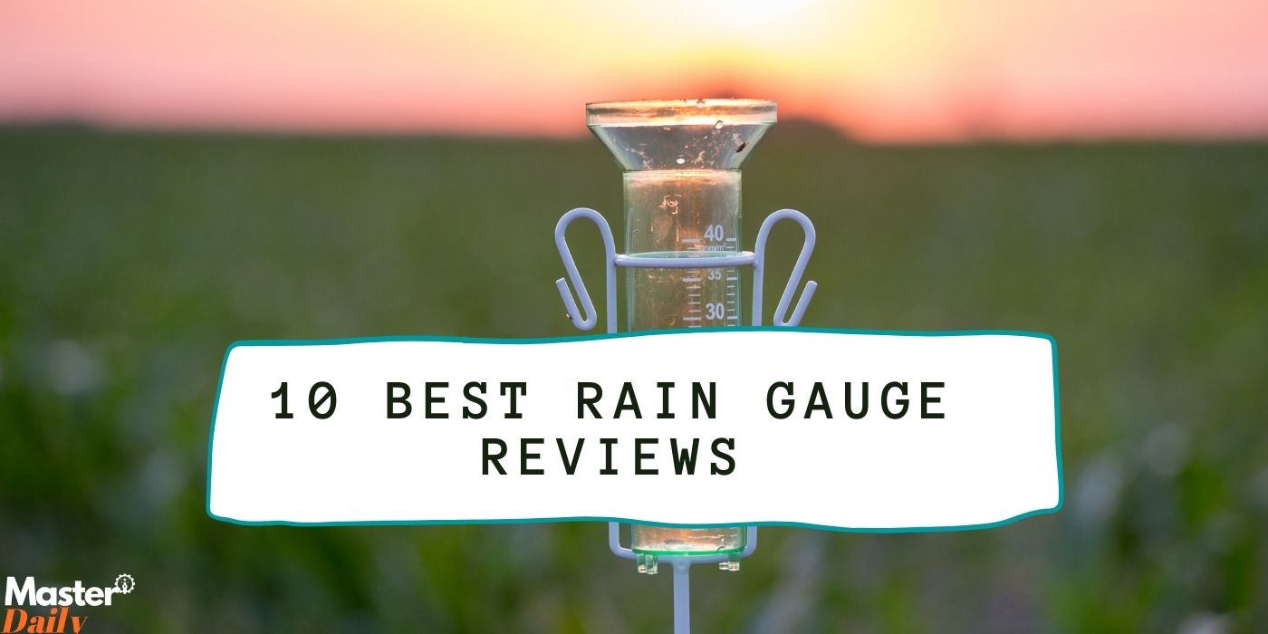 10 Best Rain Gauge Reviews