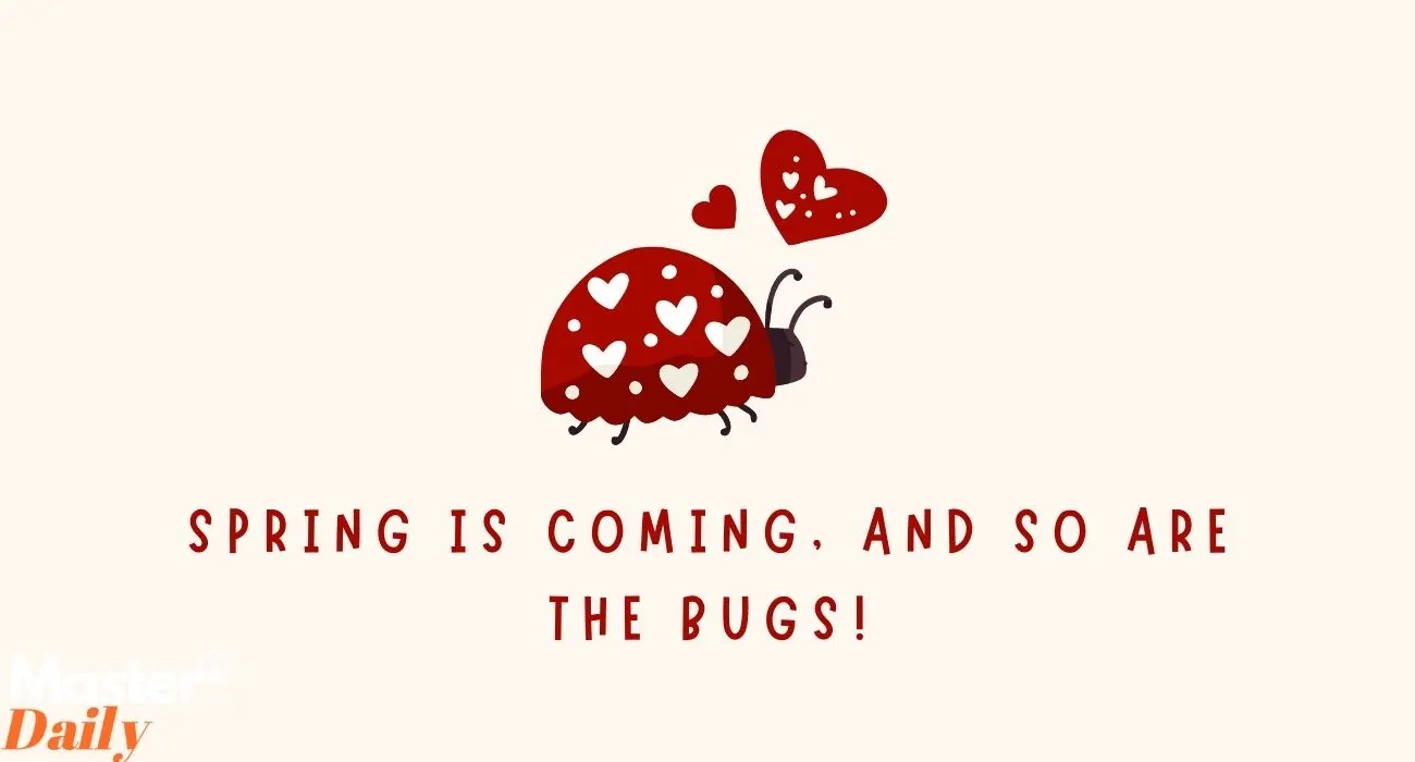 Spring is Coming, and So Are The Bugs!