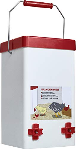 RentACoop Small Cage Waterer- 1 Gallon Capacity for Chicks/Quails/Pigeons/Gamebirds
