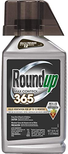Roundup Concentrate Max Control 365 Vegetation Killer, 32 oz. (Not Sold in NY)