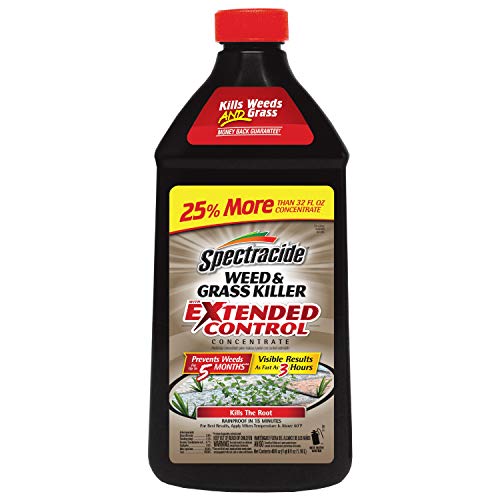 Spectracide Weed & Grass Killer With Extended Control Concentrate, 40-Ounce
