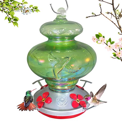 Grateful Gnome - Hummingbird Feeder - Hand Blown Glass - Green Hummingbird 26 Fluid Ounce
