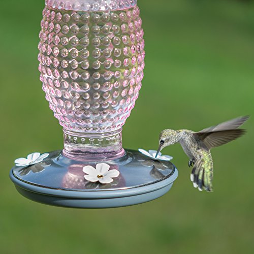 Perky Pet 8131-2 Cranberry Hobnail Vintage Glass Hummingbird Feeder