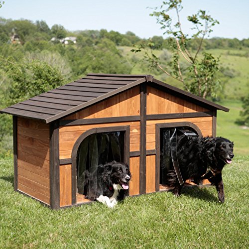 Merry Products Merry Products Darker Stain Duplex Dog House with FREE Dog Doors, Wood, Extra Large