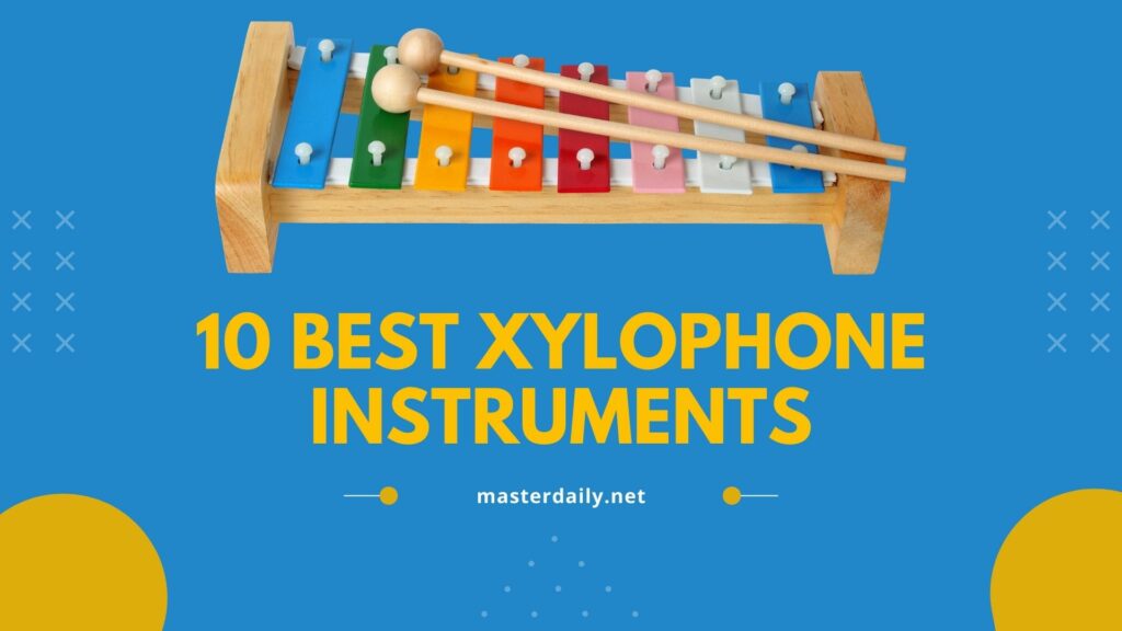 10 Best Xylophone Instruments