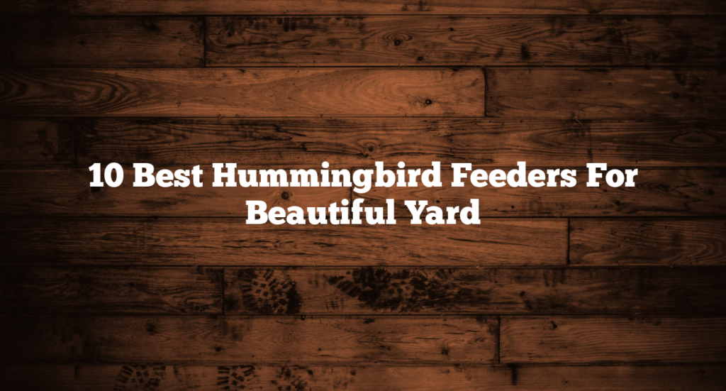 10 Best Hummingbird Feeders For Beautiful Yard