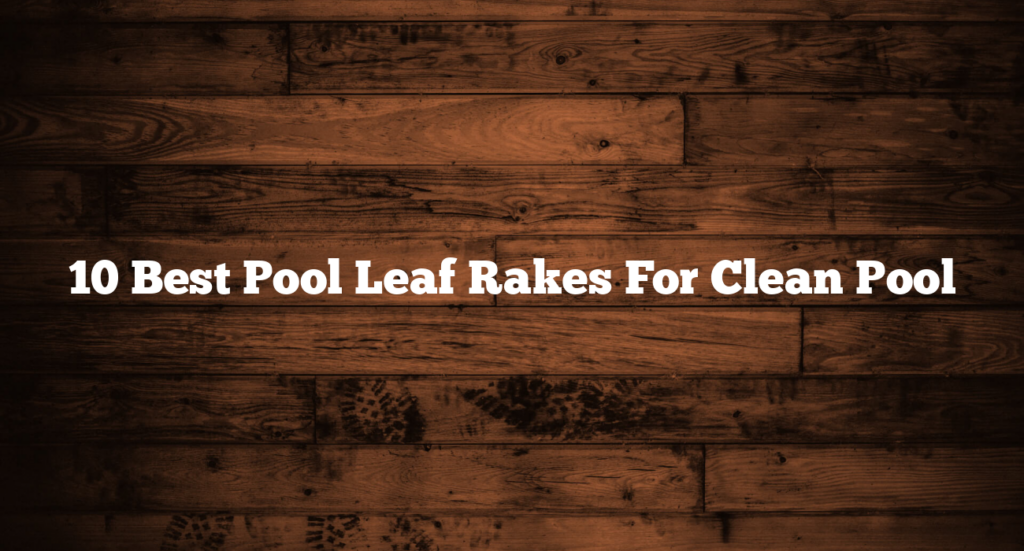10 Best Pool Leaf Rakes For Clean Pool