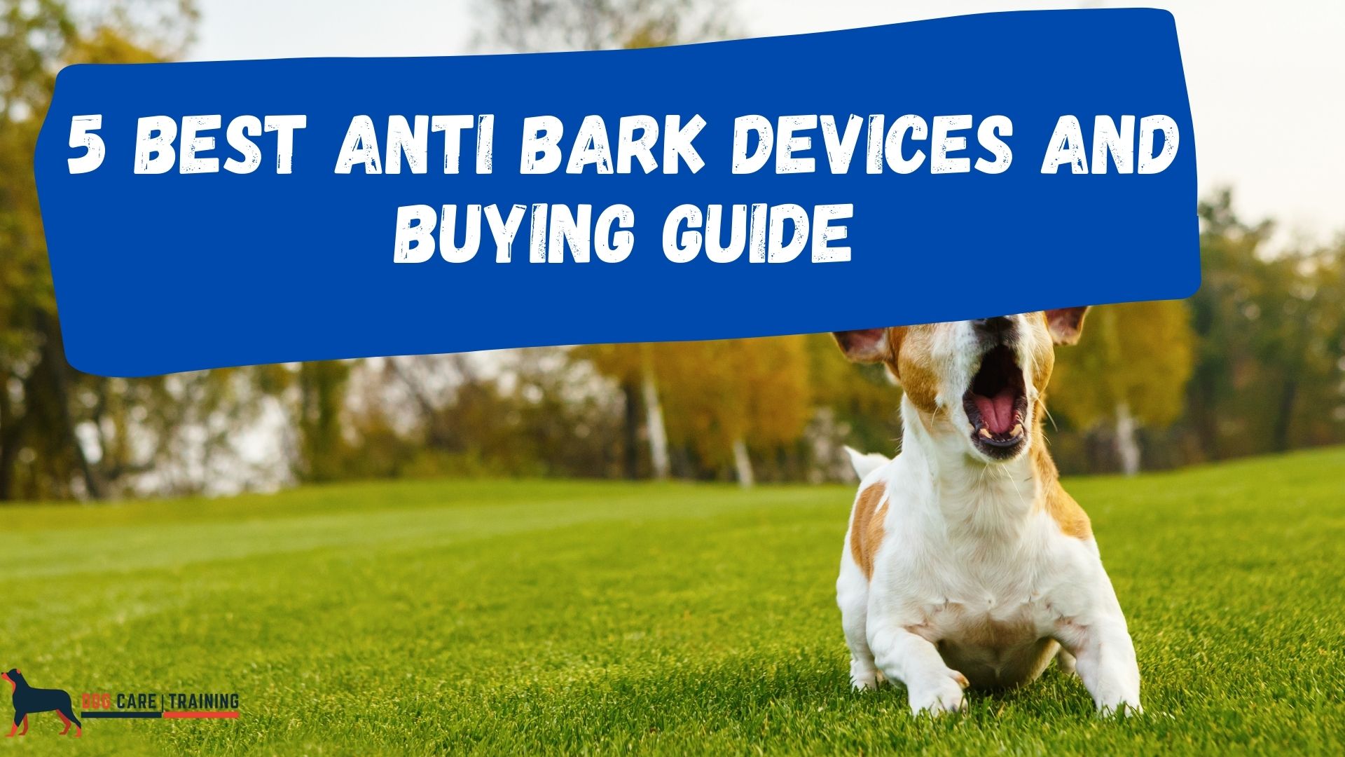 5-Best-Anti-Bark-And-Buying-Guide