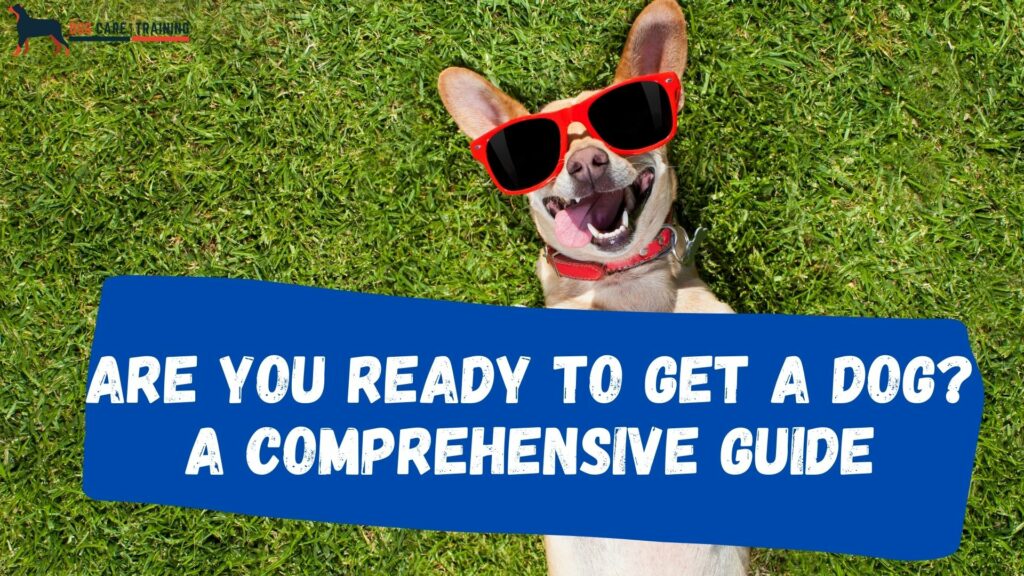 Are You Ready to Get a Dog? A Comprehensive Guide