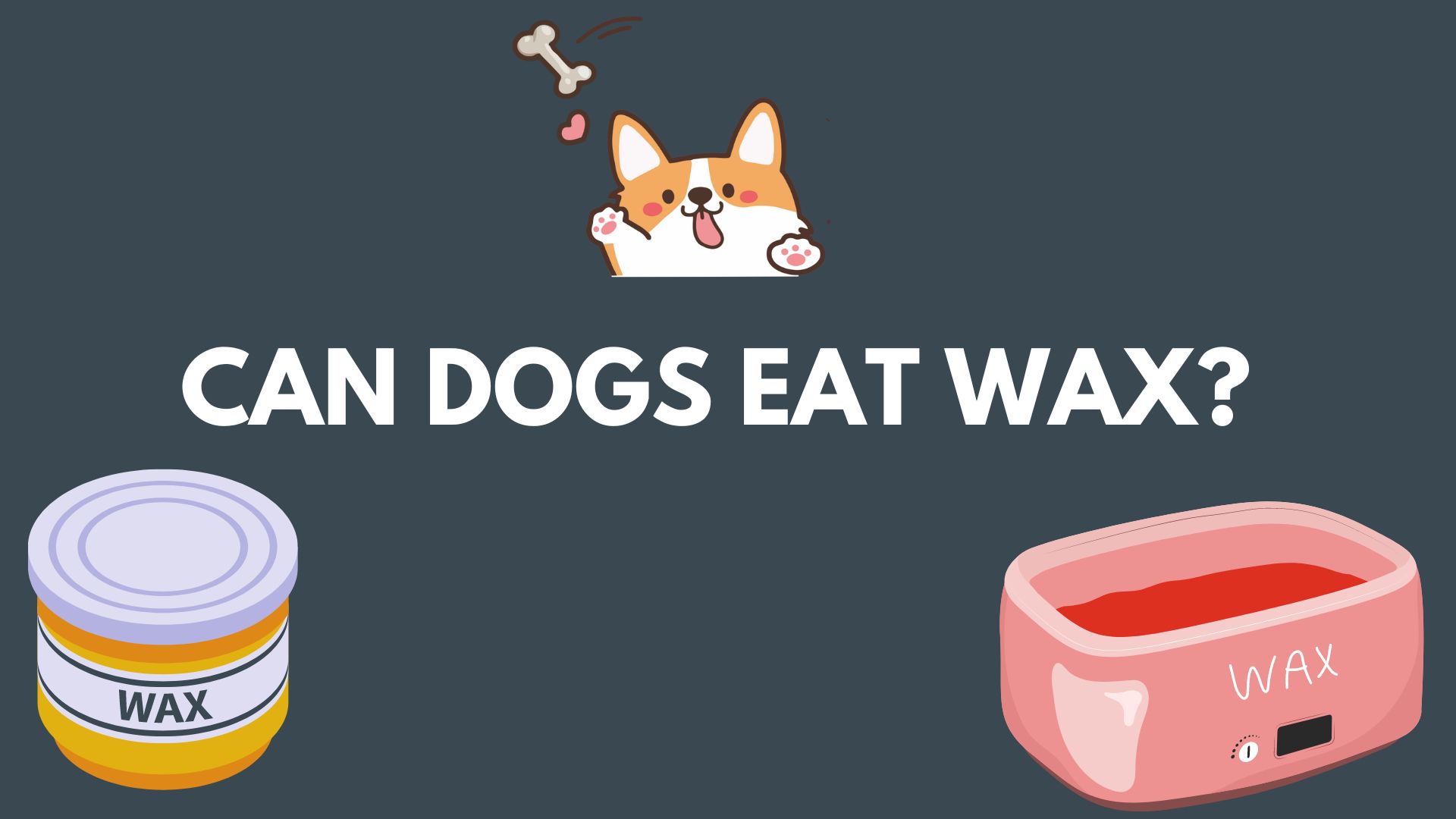 Can Dogs Eat Wax?