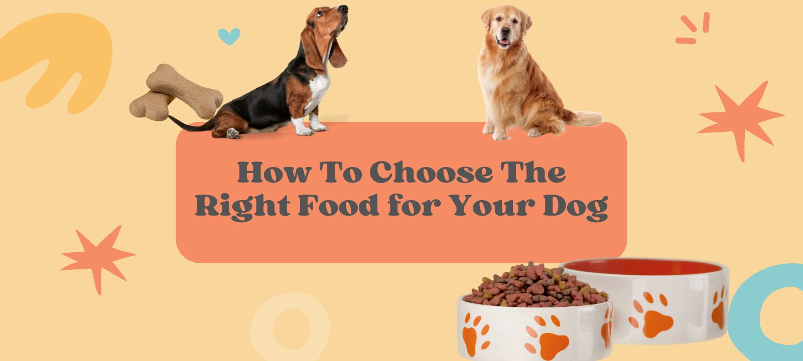 Choose The Right Food for Your Dog