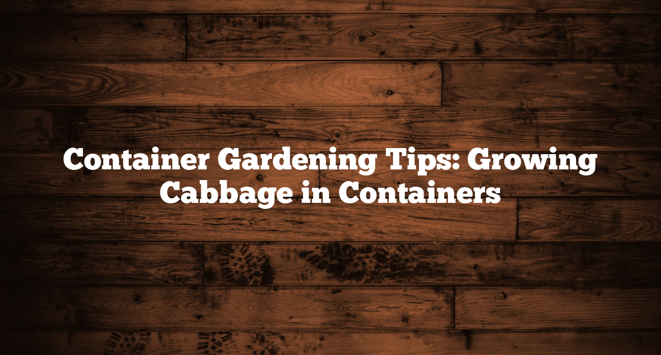 Container Gardening Tips: Growing Cabbage in Containers