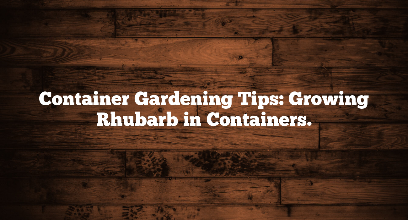 Container Gardening Tips: Growing Rhubarb in Containers.
