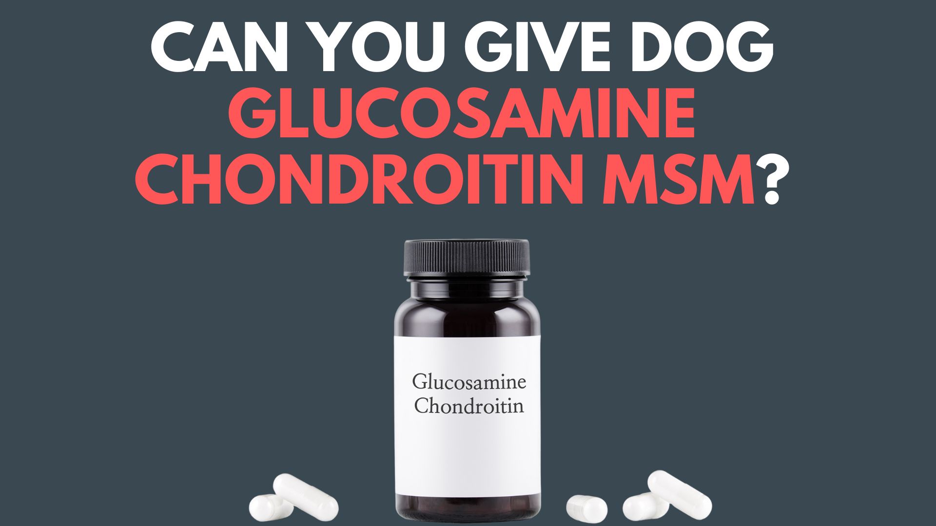Can I Give My Dog Glucosamine Chondroitin MSM?