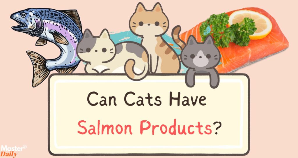 Is It Safe For Cats To Raw Salmon