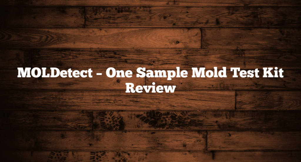 MOLDetect – One Sample Mold Test Kit Review