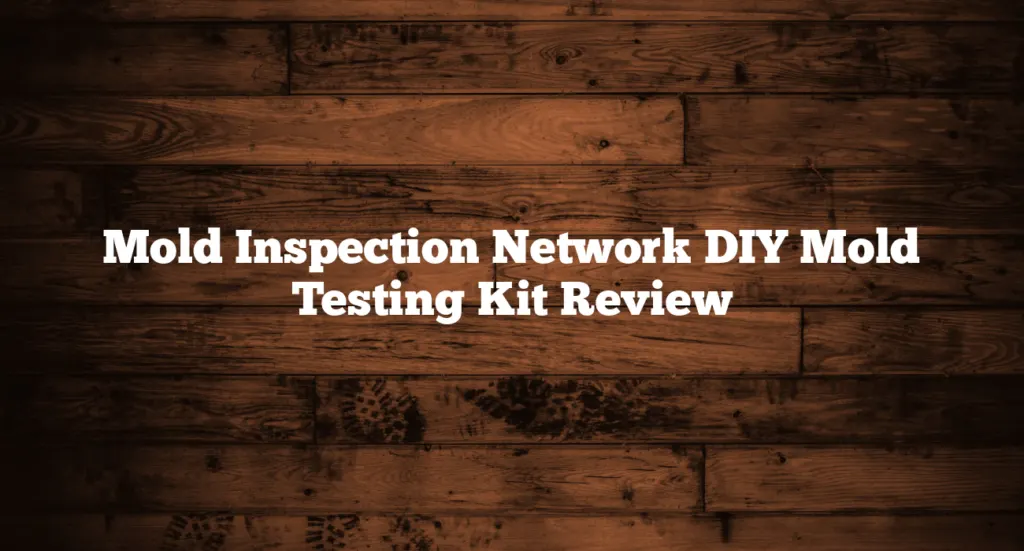 Mold Inspection Network DIY Mold Testing Kit Review