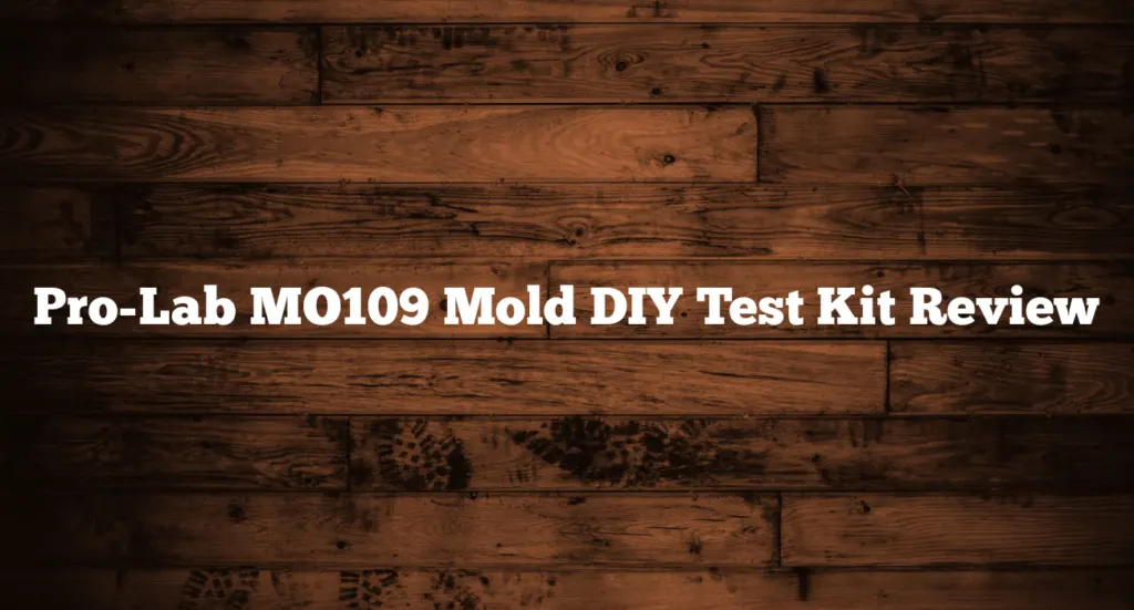 Pro-Lab MO109 Mold DIY Test Kit Review