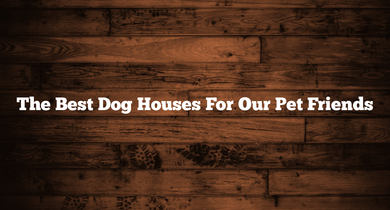 The Best Dog Houses For Our Pet Friends