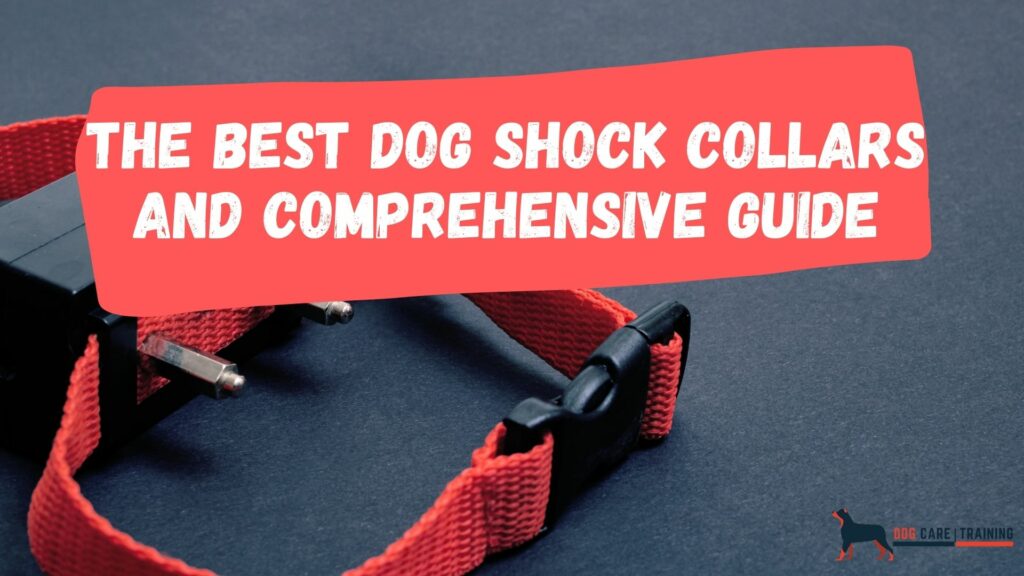 The Best Dog Shock Collars and Comprehensive Guide