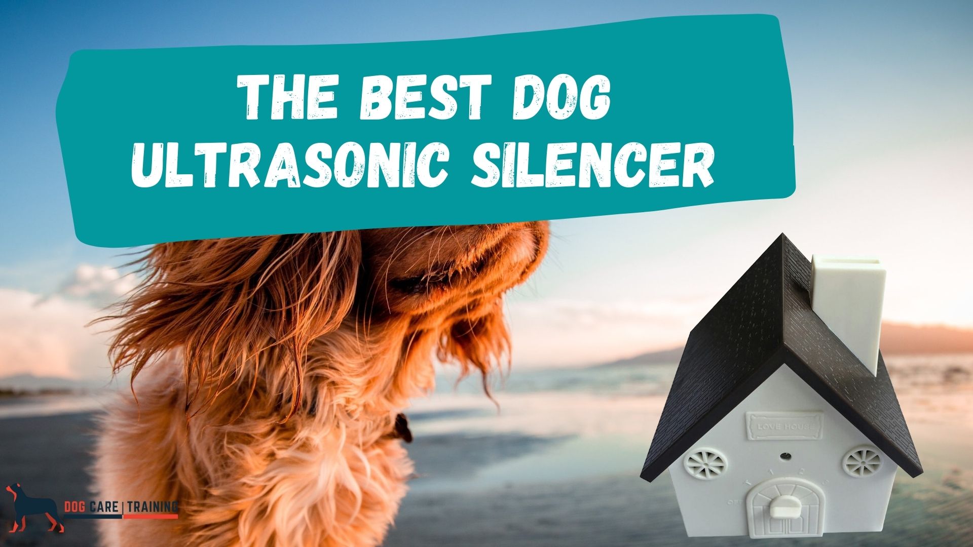 The Best Dog Ultrasonic Silencers & How it Works